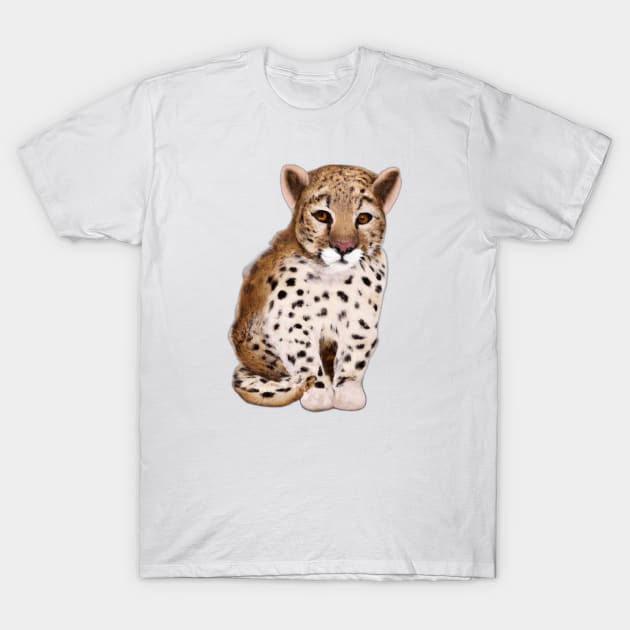 Cute Leopard Drawing T-Shirt by Play Zoo